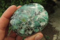 Polished Rare Emerald Mica In Matrix Free Forms x 6 From Mutoko, Zimbabwe - Toprock Gemstones and Minerals 