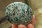 Polished Rare Emerald Mica In Matrix Free Forms x 6 From Mutoko, Zimbabwe - Toprock Gemstones and Minerals 