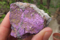 Natural Metallic Purpurite Cobbed Specimens x 12 From Erongo, Namibia - Toprock Gemstones and Minerals 