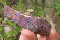 Natural Metallic Purpurite Cobbed Specimens x 12 From Erongo, Namibia - Toprock Gemstones and Minerals 