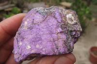 Natural Metallic Purpurite Cobbed Specimens x 12 From Erongo, Namibia - Toprock Gemstones and Minerals 