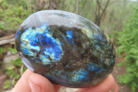 Polished Labradorite Palm Stones x 7 From Tulear, Madagascar - Toprock Gemstones and Minerals 