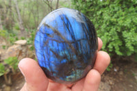 Polished Labradorite Palm Stones x 7 From Tulear, Madagascar - Toprock Gemstones and Minerals 