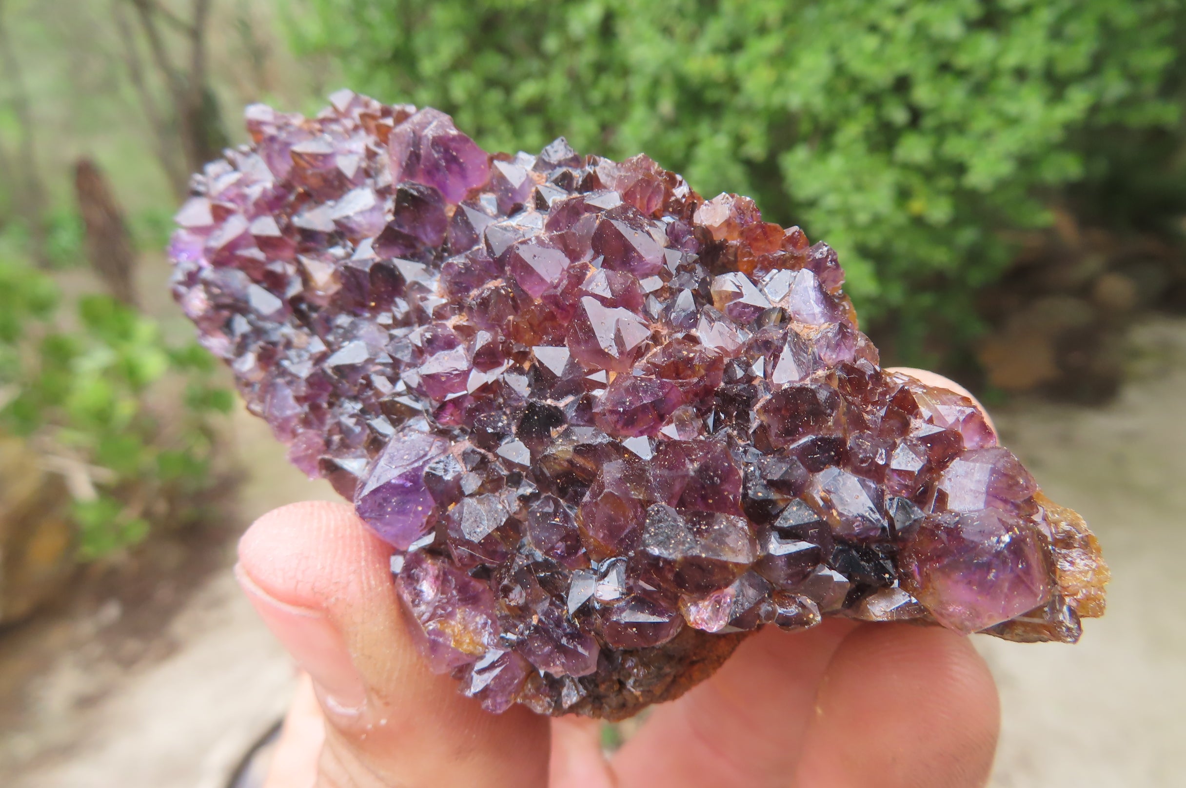 Natural Amethystos Amethyst Plates x 12 From Kwaggafontein, South Africa - Toprock Gemstones and Minerals 