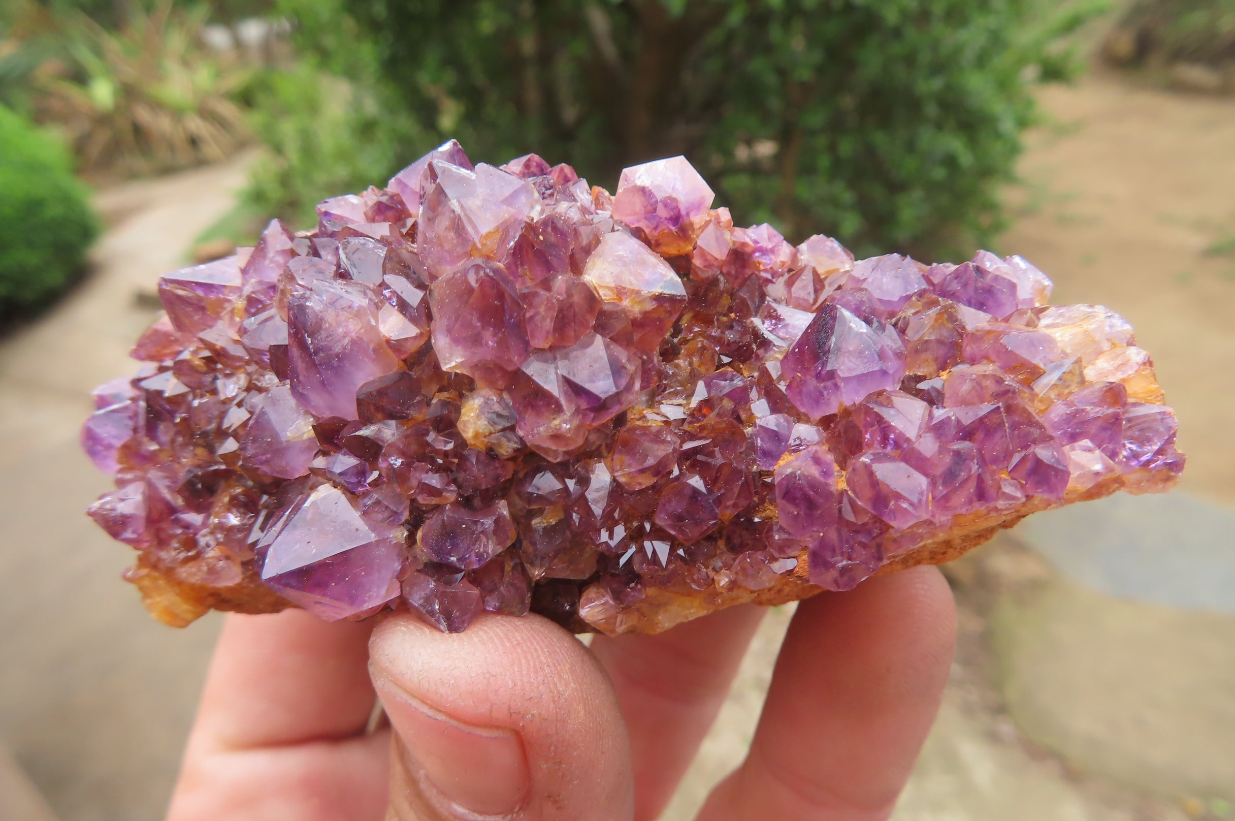Natural Amethystos Amethyst Plates x 12 From Kwaggafontein, South Africa - Toprock Gemstones and Minerals 