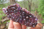 Natural Amethystos Amethyst Plates x 12 From Kwaggafontein, South Africa - Toprock Gemstones and Minerals 