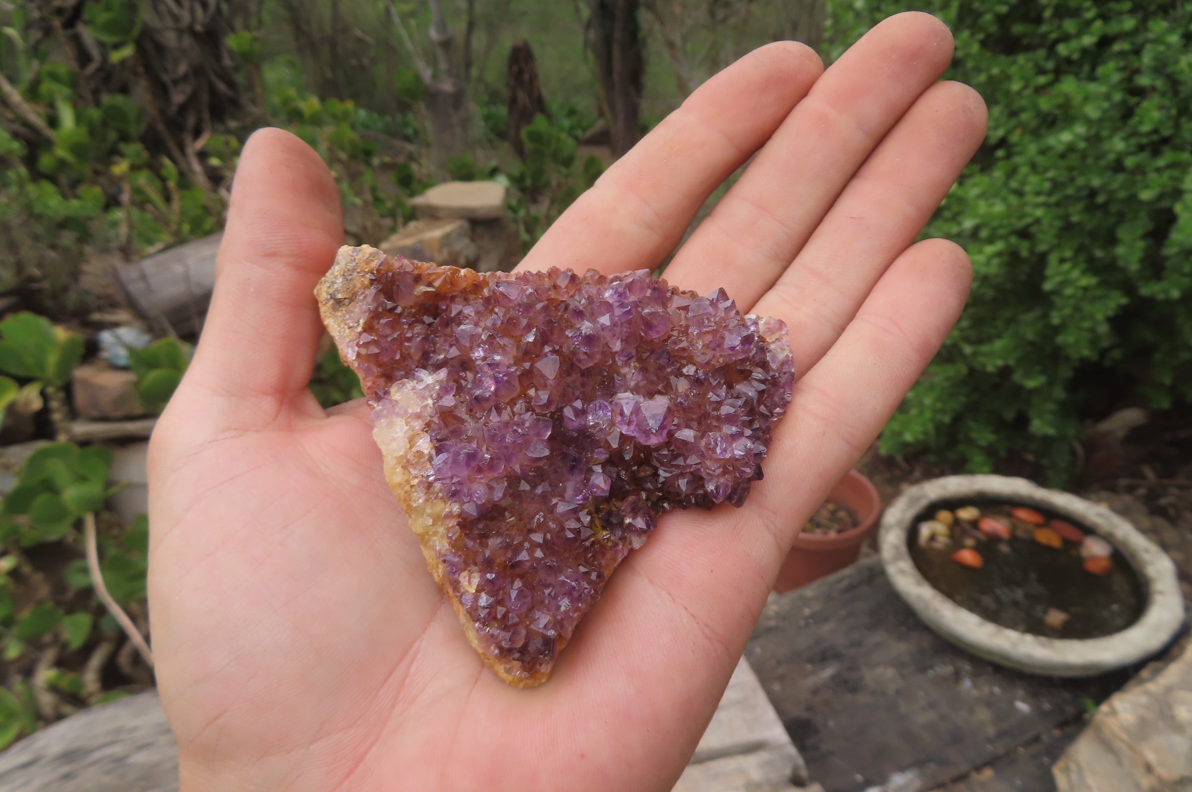 Natural Amethystos Amethyst Plates x 12 From Kwaggafontein, South Africa - Toprock Gemstones and Minerals 