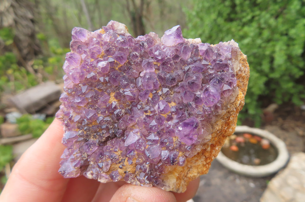 Natural Amethystos Amethyst Plates x 12 From Kwaggafontein, South Africa - Toprock Gemstones and Minerals 