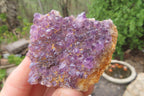 Natural Amethystos Amethyst Plates x 12 From Kwaggafontein, South Africa - Toprock Gemstones and Minerals 