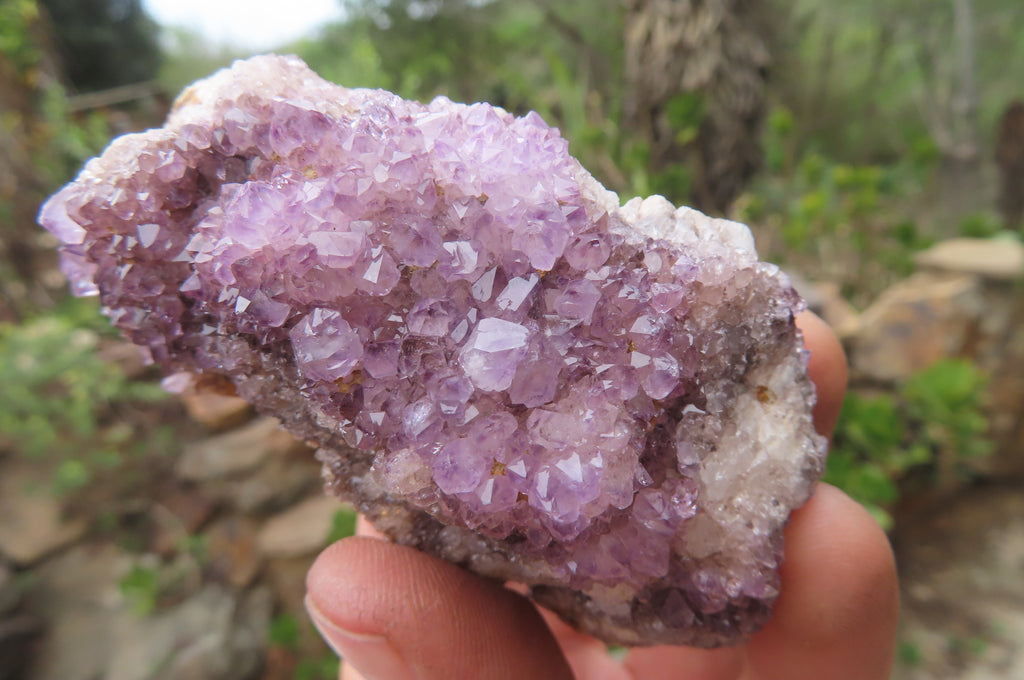 Natural Amethystos Amethyst Plates x 12 From Kwaggafontein, South Africa - Toprock Gemstones and Minerals 