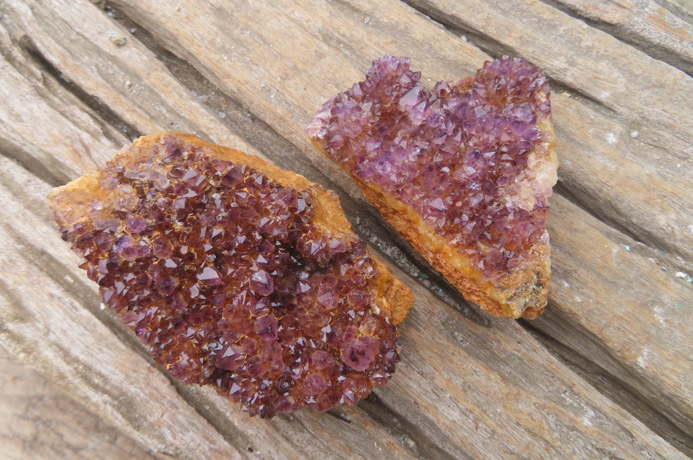 Natural Amethystos Amethyst Plates x 12 From Kwaggafontein, South Africa - Toprock Gemstones and Minerals 