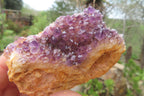 Natural Amethystos Amethyst Plates x 12 From Kwaggafontein, South Africa - Toprock Gemstones and Minerals 