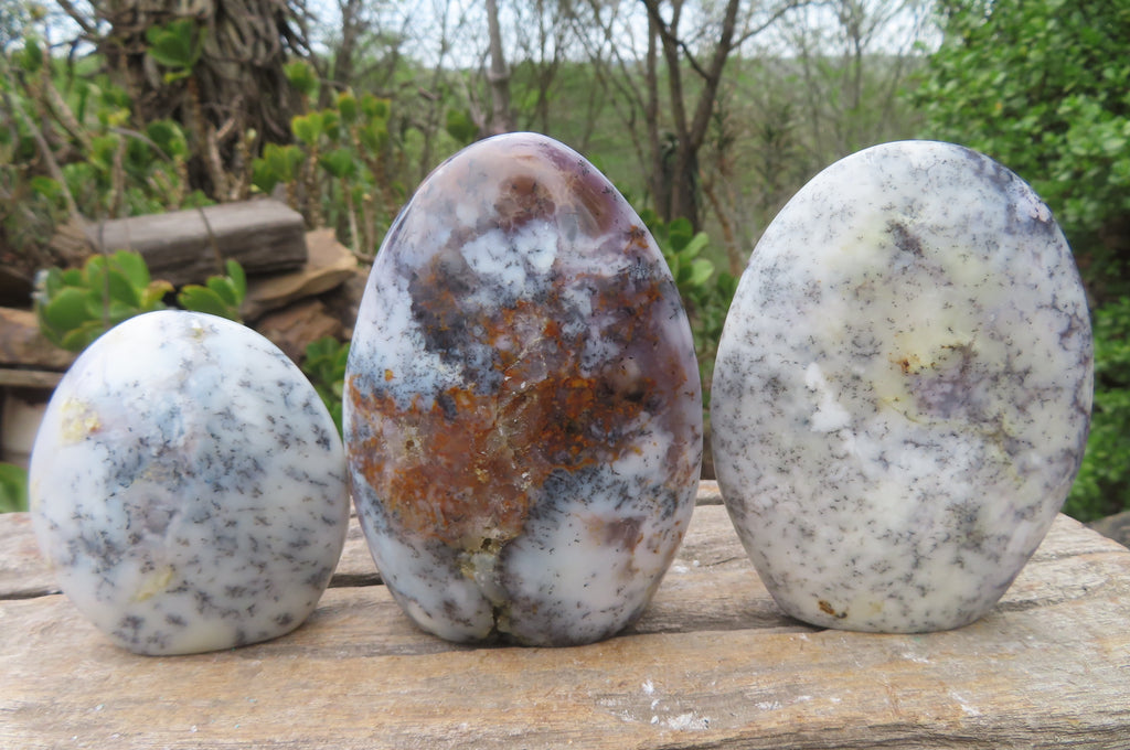 Polished Dendritic Opal Standing Free Forms x 3 From Moralambo, Madagascar - Toprock Gemstones and Minerals 