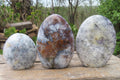 Polished Dendritic Opal Standing Free Forms x 3 From Moralambo, Madagascar - Toprock Gemstones and Minerals 