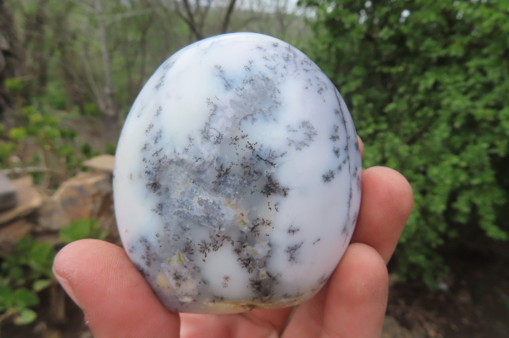 Polished Dendritic Opal Standing Free Forms x 3 From Moralambo, Madagascar - Toprock Gemstones and Minerals 