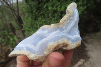 Natural Blue Lace Agate Geode Specimens x 12 From Malawi - Toprock Gemstones and Minerals 