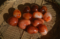 Polished Carnelian Eggs x 12 from Madagascar - Toprock Gemstones and Minerals 