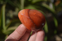 Polished Carnelian Eggs x 12 from Madagascar - Toprock Gemstones and Minerals 