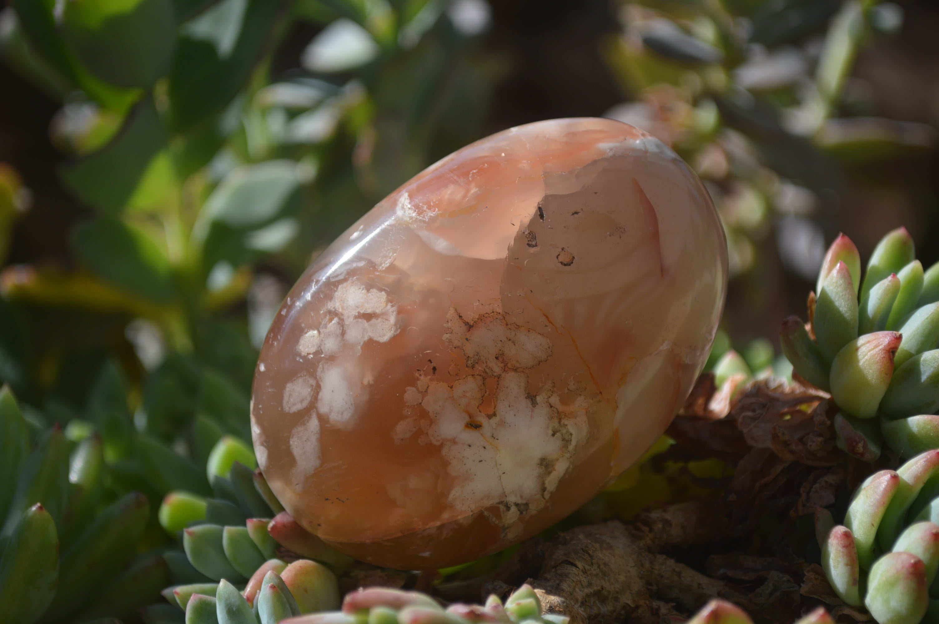 Polished Flower Agate Galet-Palm Stones x 12 From Antsahalova, Madagascar - Toprock Gemstones and Minerals 