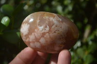 Polished Flower Agate Galet-Palm Stones x 12 From Antsahalova, Madagascar - Toprock Gemstones and Minerals 