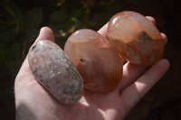 Polished Flower Agate Galet-Palm Stones x 12 From Antsahalova, Madagascar - Toprock Gemstones and Minerals 