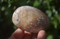 Polished Flower Agate Galet-Palm Stones x 12 From Antsahalova, Madagascar - Toprock Gemstones and Minerals 