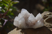 Natural Amethyst Spirit Quartz Clusters x 4 From Boekenhouthoek, South Africa