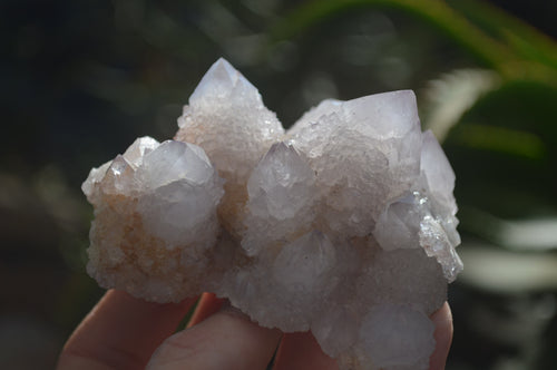 Natural Amethyst Spirit Quartz Clusters x 4 From Boekenhouthoek, South Africa - Toprock Gemstones and Minerals 