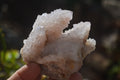 Natural Amethyst Spirit Quartz Clusters x 4 From Boekenhouthoek, South Africa - Toprock Gemstones and Minerals 