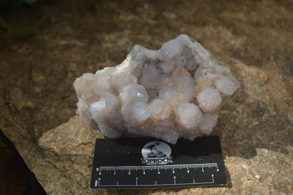 Natural Amethyst Spirit Quartz Clusters x 4 From Boekenhouthoek, South Africa - Toprock Gemstones and Minerals 