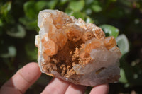 Natural Limonite Quartz Geodes x 12 From Solwezi, Zambia