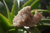 Natural Limonite Quartz Geodes x 12 From Solwezi, Zambia