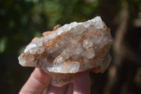 Natural Limonite Quartz Geodes x 12 From Solwezi, Zambia