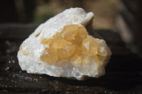Natural Limonite Quartz Geodes x 12 From Solwezi, Zambia
