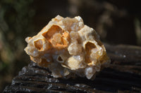 Natural Limonite Quartz Geodes x 12 From Solwezi, Zambia