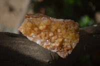 Natural Limonite Quartz Geodes x 12 From Solwezi, Zambia