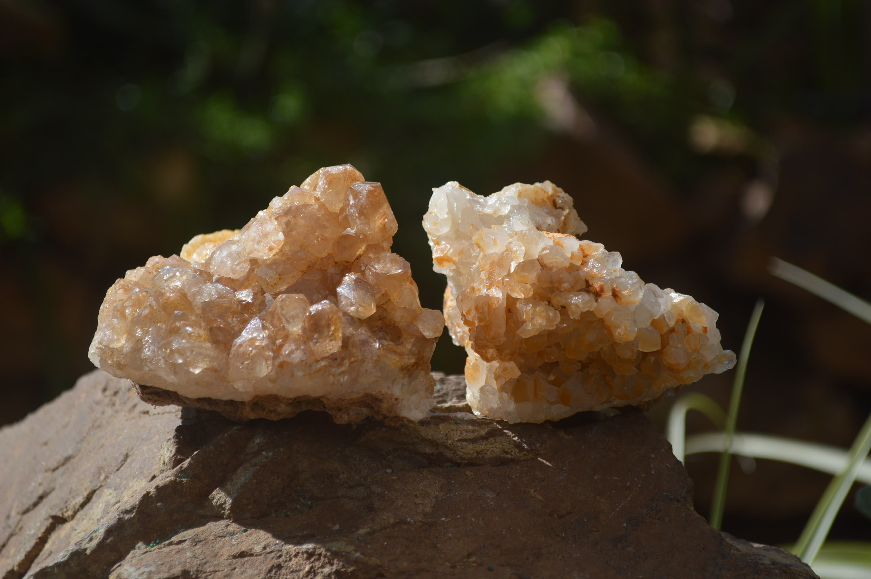 Natural Limonite Quartz Geodes x 12 From Solwezi, Zambia - Toprock Gemstones and Minerals 