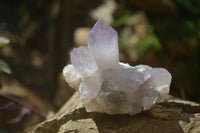 Natural Jacaranda Amethyst Quartz Cluster x 6 from Mumbwa, Zambia - Toprock Gemstones and Minerals 