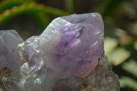 Natural Jacaranda Amethyst Quartz Cluster x 6 from Mumbwa, Zambia - Toprock Gemstones and Minerals 
