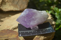 Natural Jacaranda Amethyst Quartz Cluster x 6 from Mumbwa, Zambia - Toprock Gemstones and Minerals 