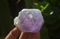 Natural Jacaranda Amethyst Quartz Cluster x 6 from Mumbwa, Zambia - Toprock Gemstones and Minerals 