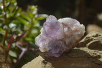 Natural Jacaranda Amethyst Quartz Cluster x 6 from Mumbwa, Zambia - Toprock Gemstones and Minerals 