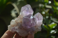 Natural Jacaranda Amethyst Quartz Cluster x 6 from Mumbwa, Zambia - Toprock Gemstones and Minerals 