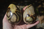 Polished Septerye Eggs x 3 From Mahajanga, Madagascar - Toprock Gemstones and Minerals 