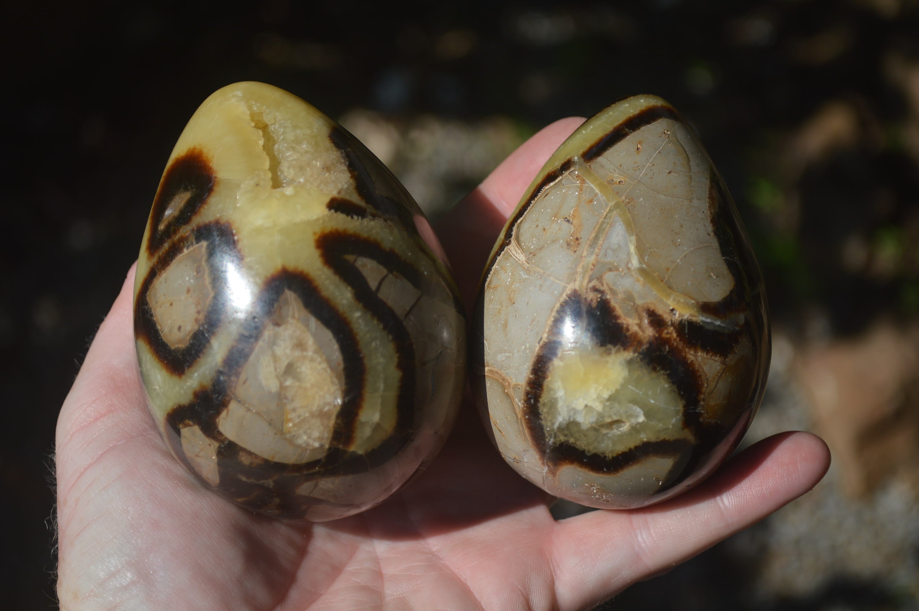 Polished Septerye Eggs x 3 From Mahajanga, Madagascar - Toprock Gemstones and Minerals 