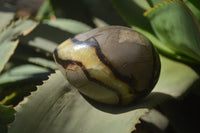 Polished Septerye Eggs x 3 From Mahajanga, Madagascar - Toprock Gemstones and Minerals 