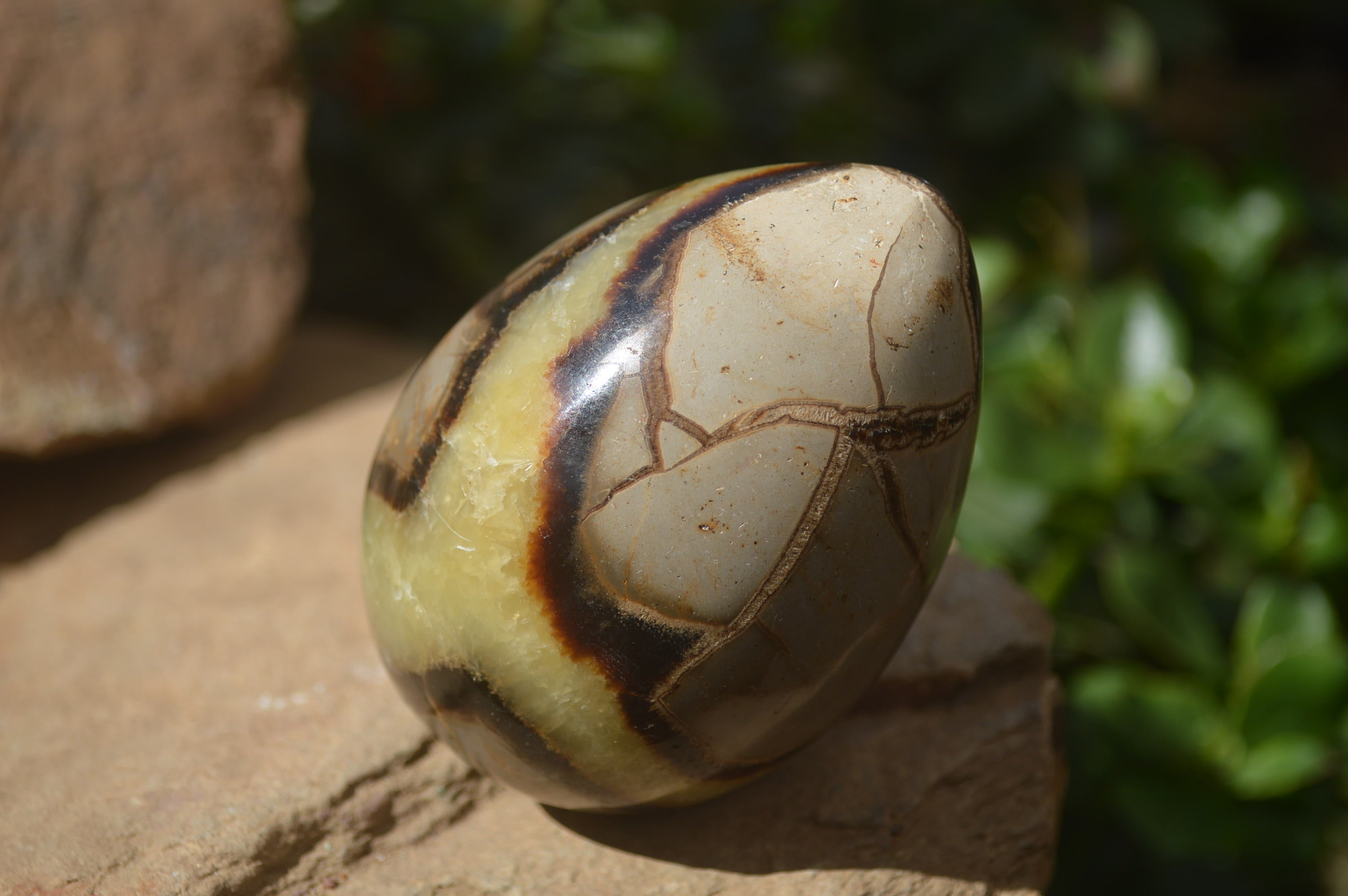 Polished Septerye Eggs x 3 From Mahajanga, Madagascar - Toprock Gemstones and Minerals 