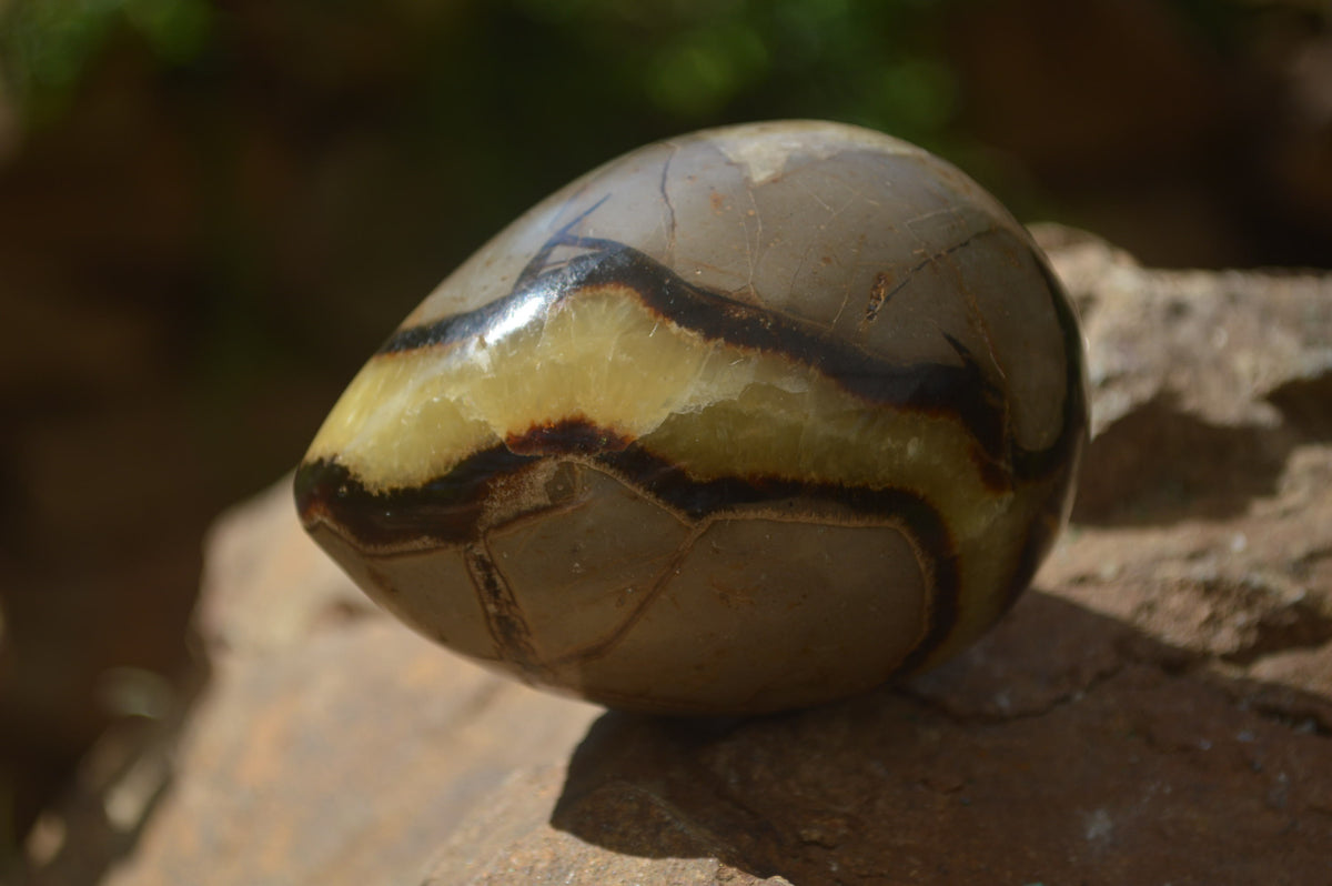 Polished Septerye Eggs x 3 From Mahajanga, Madagascar - Toprock Gemstones and Minerals 