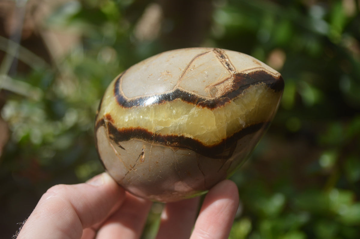 Polished Septerye Eggs x 3 From Mahajanga, Madagascar - Toprock Gemstones and Minerals 