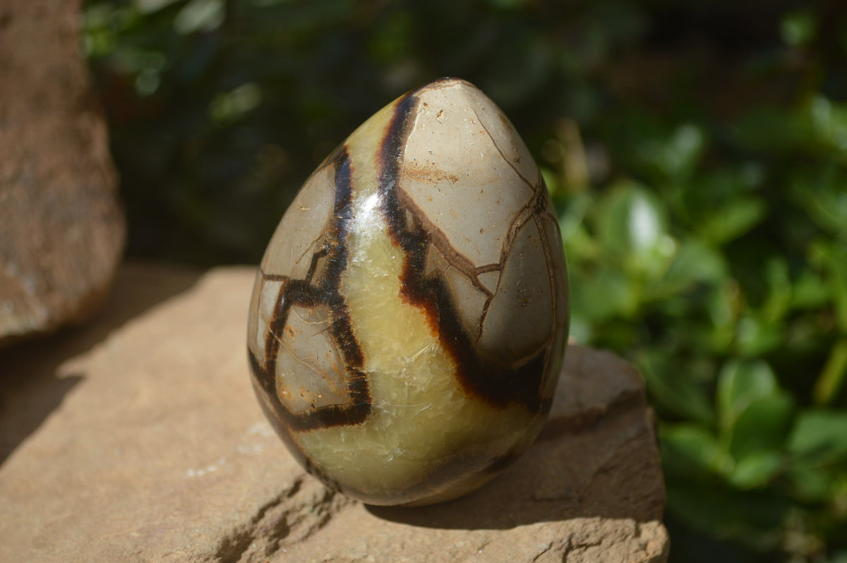 Polished Septerye Eggs x 3 From Mahajanga, Madagascar - Toprock Gemstones and Minerals 